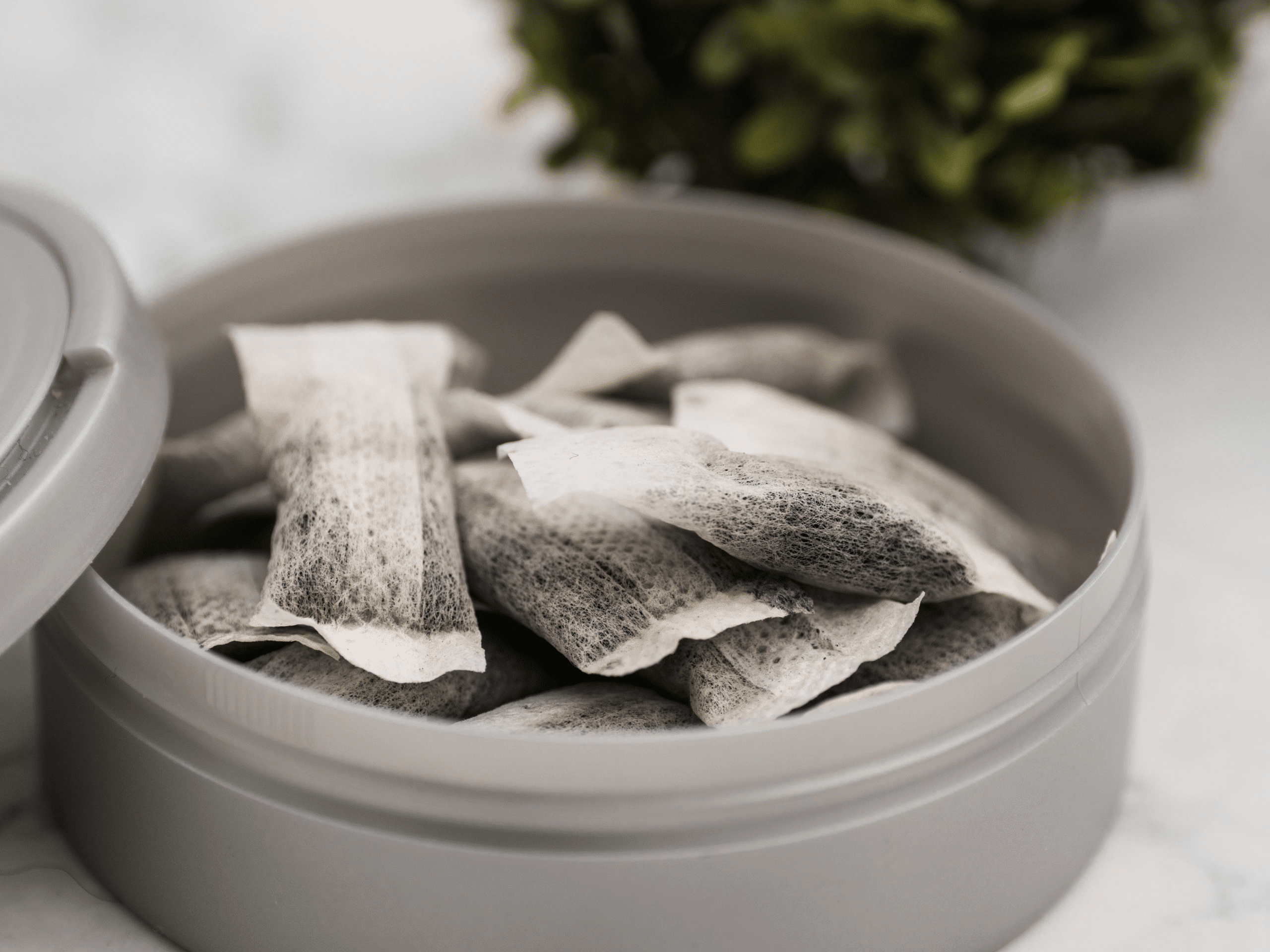 การพัฒนา Snus จากผงหลวมสู่ถุงพร้อมใช้